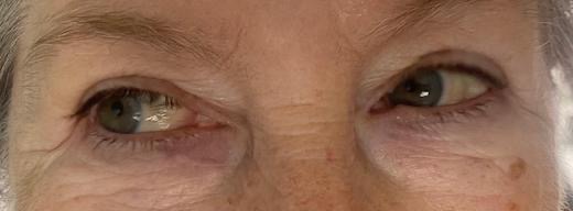 Wimpers Refectocil brown met een tipje zwart