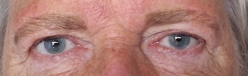 Wenkbrauwen - Refectofil